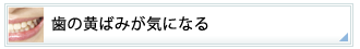 歯の黄ばみが気になる